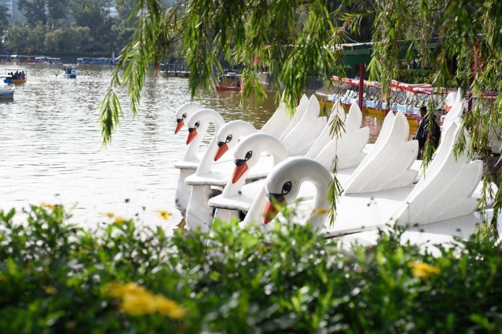 เดอะ พลาซา ลอดจ์ บาเกียว Hotel Baguio City ภายนอก รูปภาพ